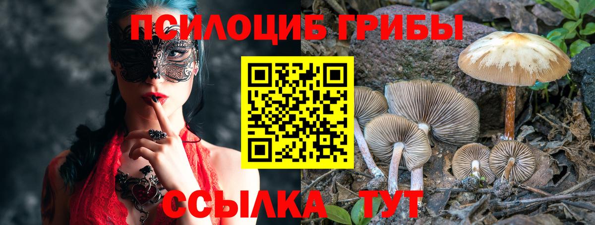 Псилоцибиновые грибы Magic Shrooms Ивантеевка