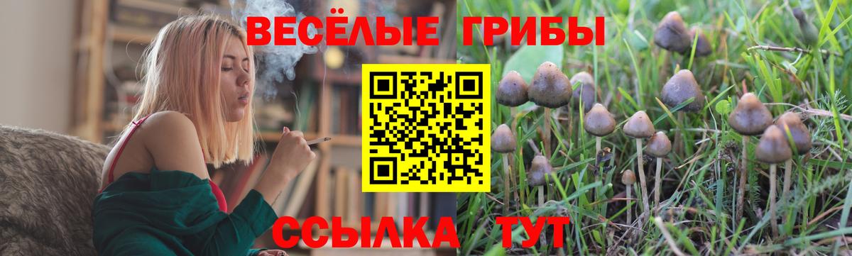 Ивантеевка  Псилоцибиновые грибы GOLDEN TEACHER  закладка  Псилоцибиновые грибы Psilocybine cubensis  Вход с VPN 